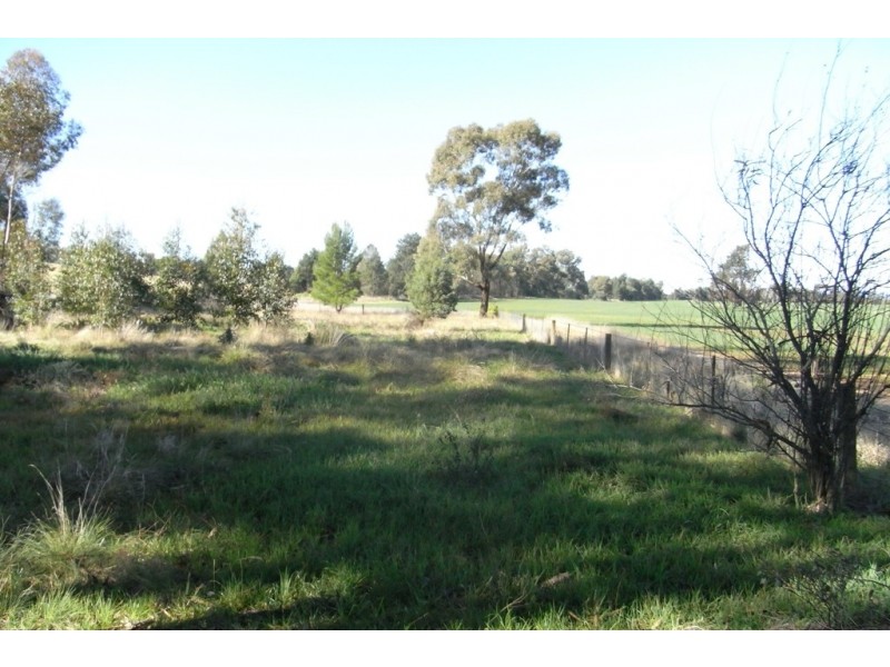 RMB 111 Alma Park Road (Cnr Glue Pot Road), Walla Walla NSW 2659