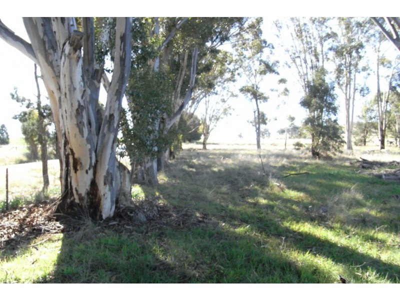 RMB 111 Alma Park Road (Cnr Glue Pot Road), Walla Walla NSW 2659