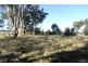 RMB 111 Alma Park Road (Cnr Glue Pot Road), Walla Walla NSW 2659