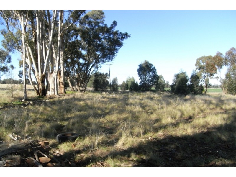 RMB 111 Alma Park Road (Cnr Glue Pot Road), Walla Walla NSW 2659