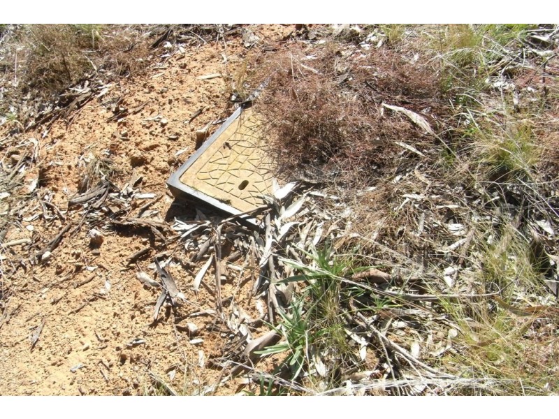 RMB 111 Alma Park Road (Cnr Glue Pot Road), Walla Walla NSW 2659