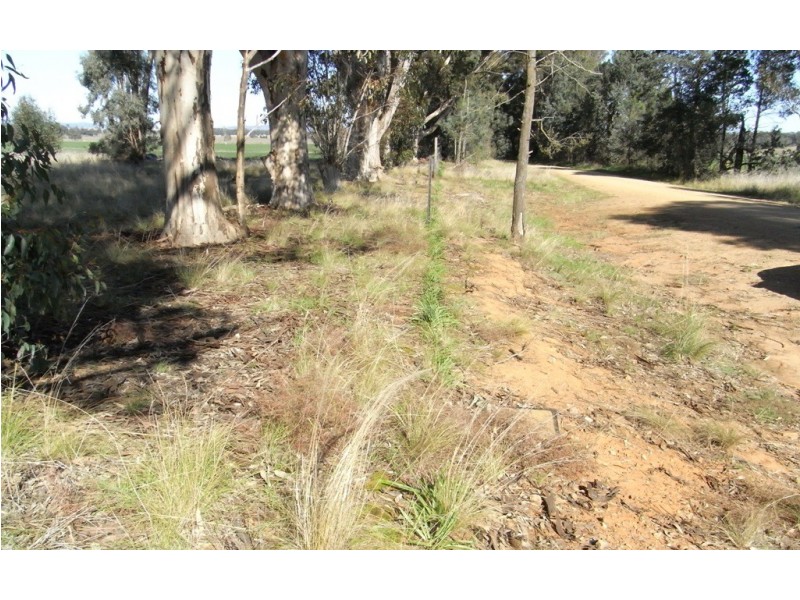 RMB 111 Alma Park Road (Cnr Glue Pot Road), Walla Walla NSW 2659