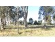 RMB 111 Alma Park Road (Cnr Glue Pot Road), Walla Walla NSW 2659