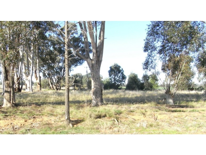 RMB 111 Alma Park Road (Cnr Glue Pot Road), Walla Walla NSW 2659