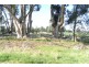 RMB 111 Alma Park Road (Cnr Glue Pot Road), Walla Walla NSW 2659