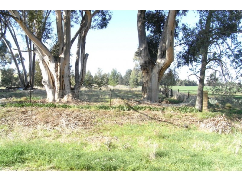 RMB 111 Alma Park Road (Cnr Glue Pot Road), Walla Walla NSW 2659