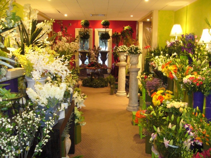 597 Smollett Street, Albury NSW 2640