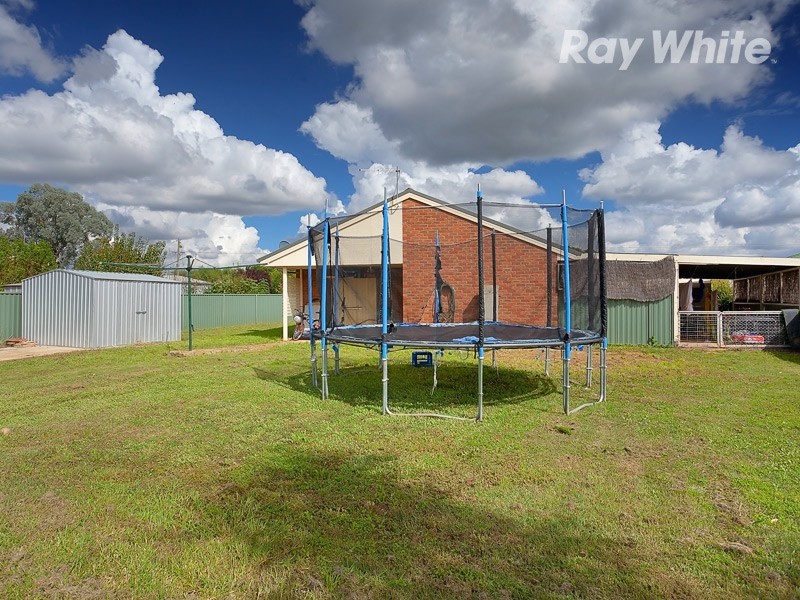 42 Larmer Street, Howlong NSW 2643