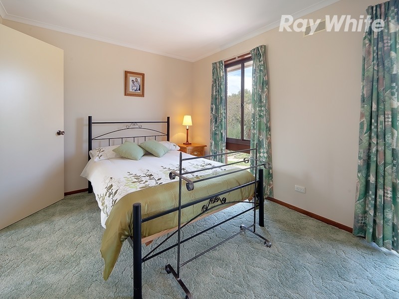 11 Bogong Street, Thurgoona NSW 2640