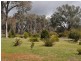 37 Drumwood Road, Jindera NSW 2642