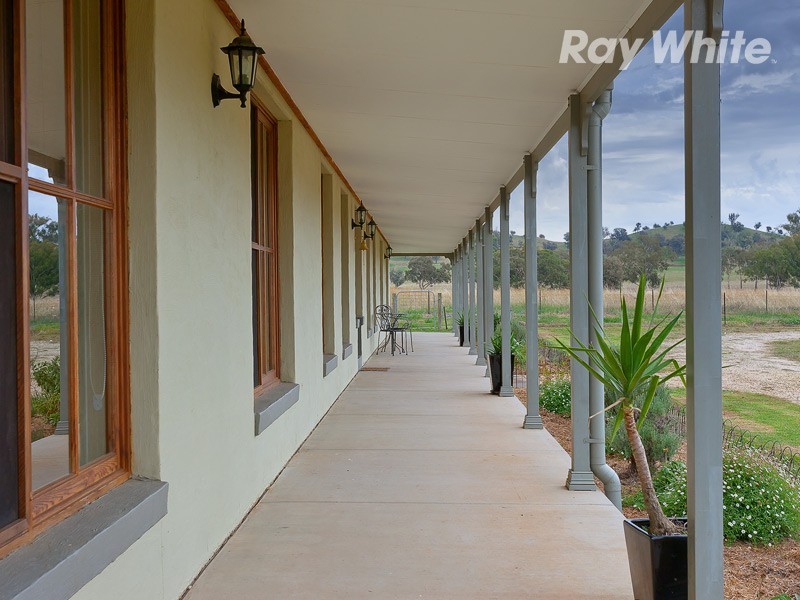 273 Bungowannah Road, Jindera NSW 2642