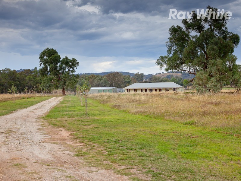 273 Bungowannah Road, Jindera NSW 2642