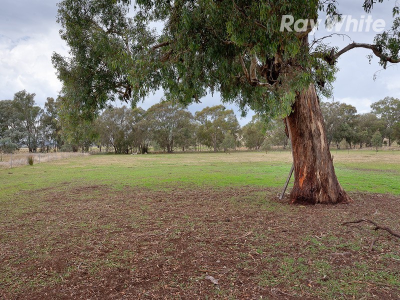 273 Bungowannah Road, Jindera NSW 2642