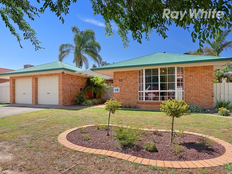 43 Saville Avenue, Lavington NSW 2641