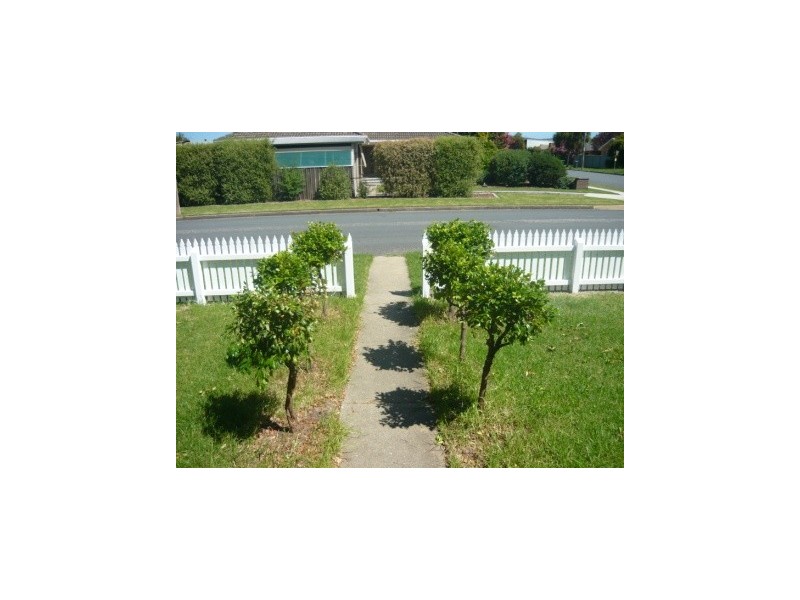 411 Douglas Road, Lavington NSW 2641
