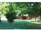 53 Pell Street, Howlong NSW 2643