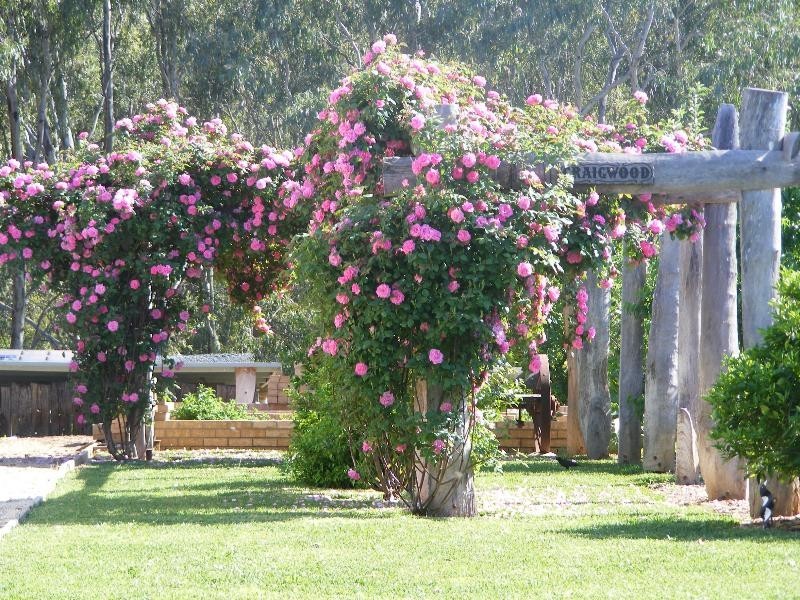 91 Hoddle Street, Howlong NSW 2643