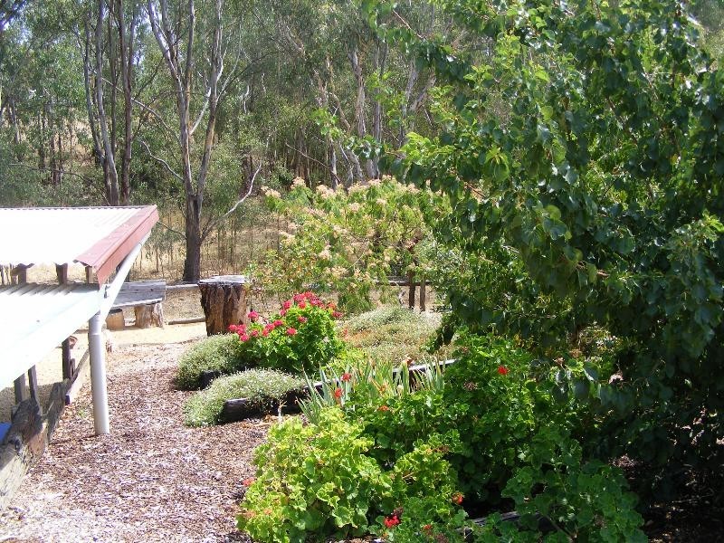 91 Hoddle Street, Howlong NSW 2643