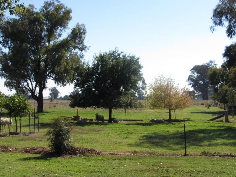 30 Hamilton Street, Culcairn NSW 2660