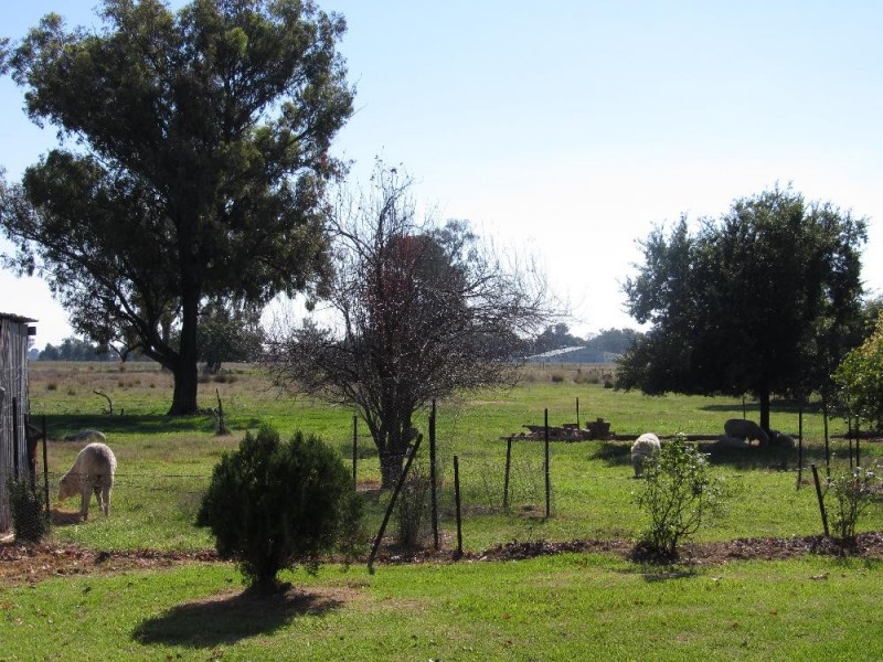 30 Hamilton Street, Culcairn NSW 2660