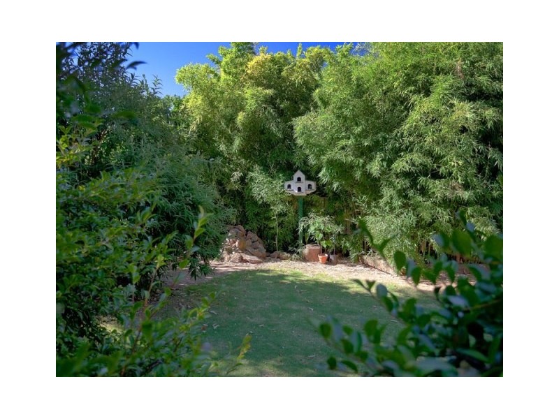 264 Desmond St, Lavington NSW 2641
