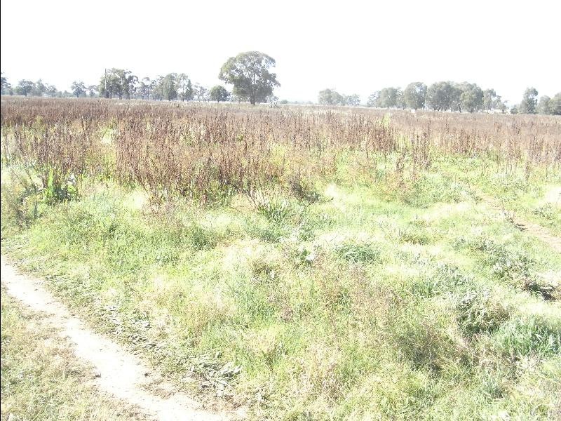 181 – 189 Hume Street, Howlong NSW 2643