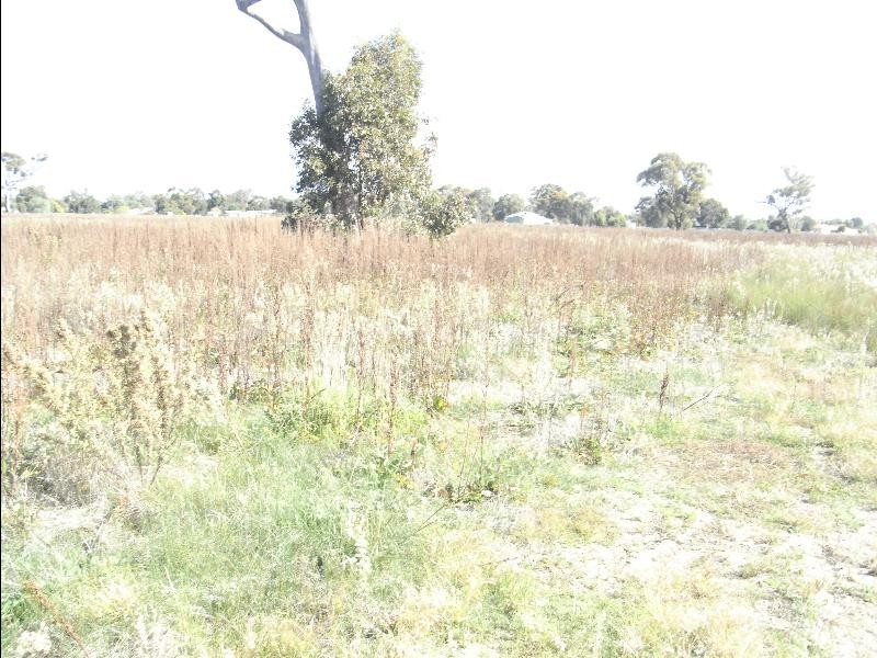 62 – 70 Belmore Street, Howlong NSW 2643