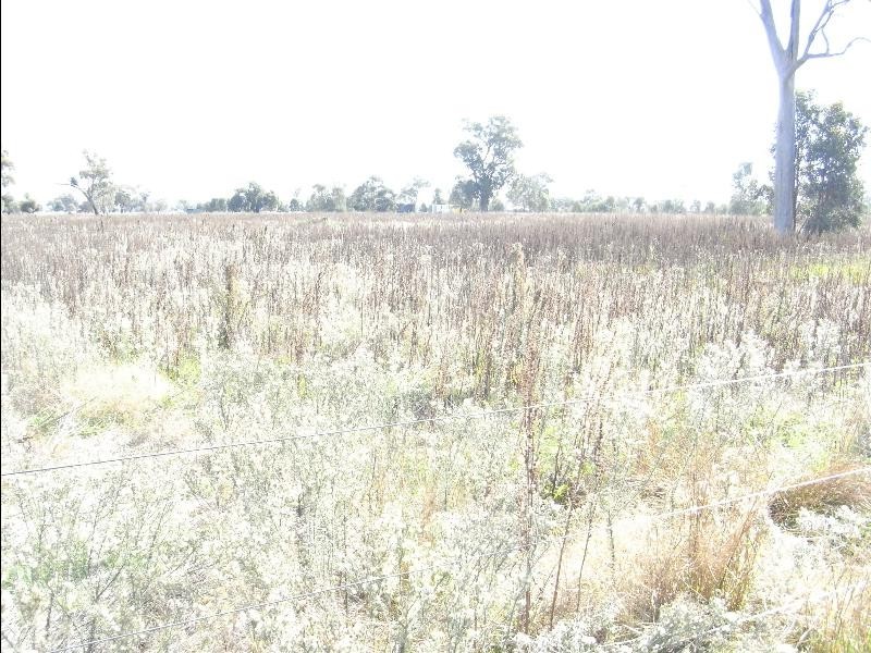 62 – 70 Belmore Street, Howlong NSW 2643