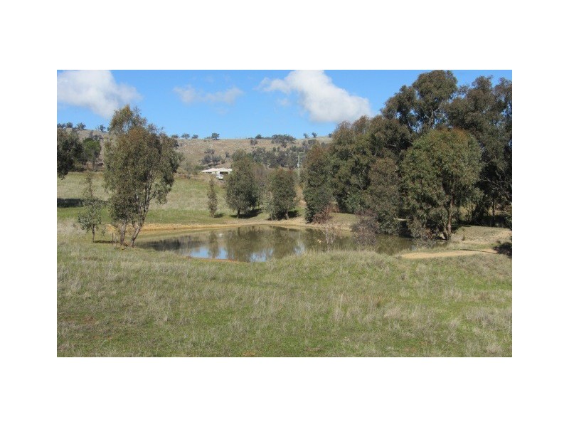 17 Hilsley Lane, Jindera NSW 2642
