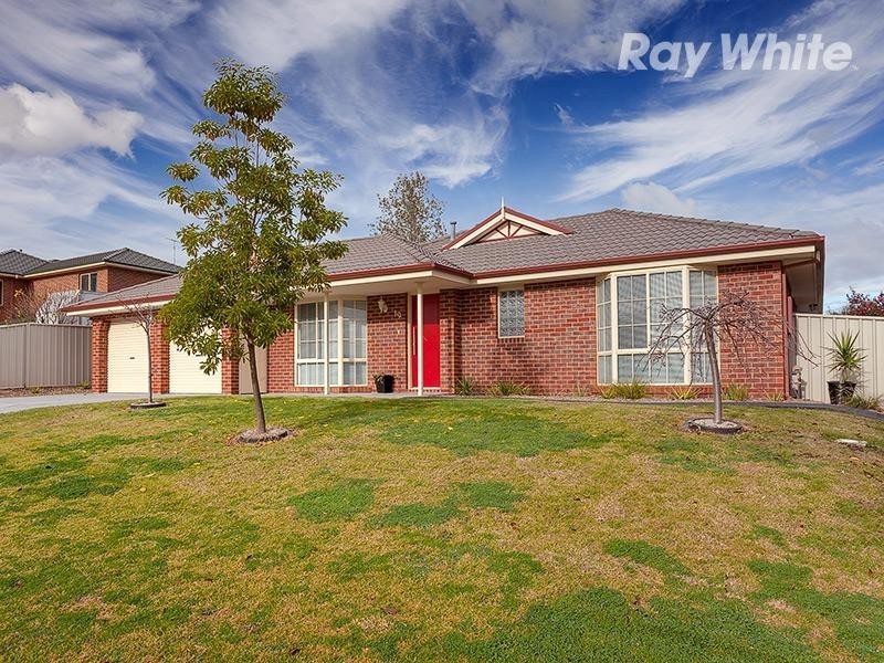 19 Donnolley Court, Lavington NSW 2641