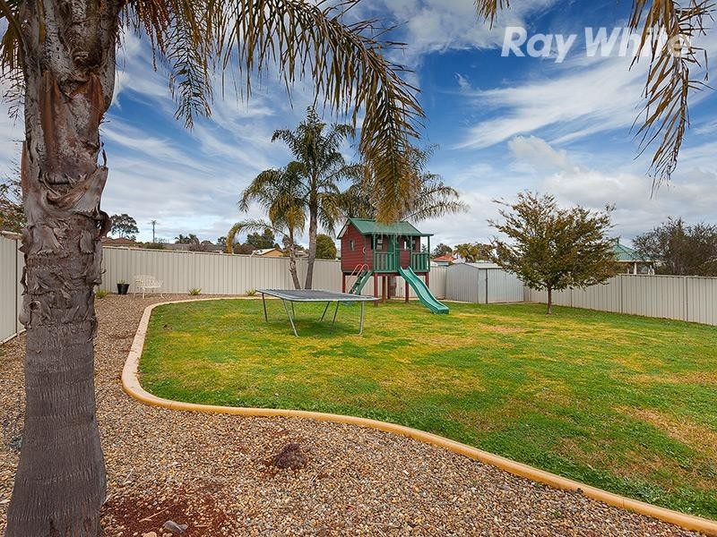 19 Donnolley Court, Lavington NSW 2641