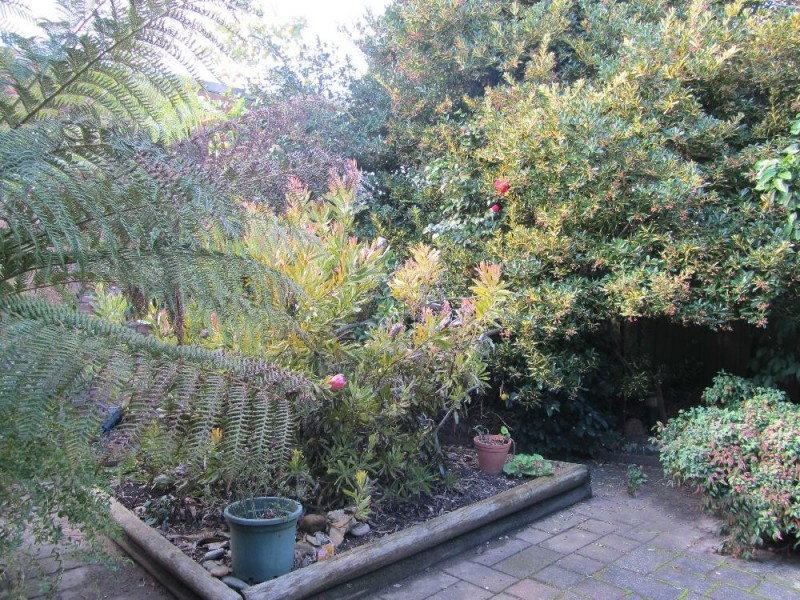 442 Parnall Street, Lavington NSW 2641