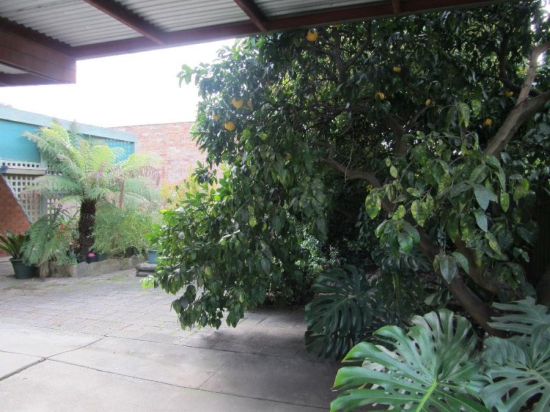 442 Parnall Street, Lavington NSW 2641