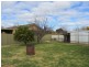 12 Jackling Drive, Lavington NSW 2641