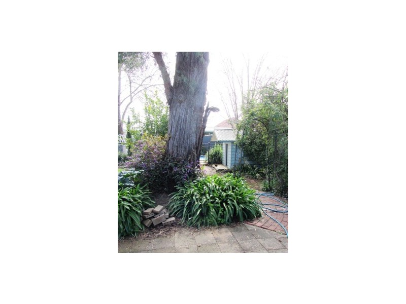 594 Heathwood Avenue, Lavington NSW 2641