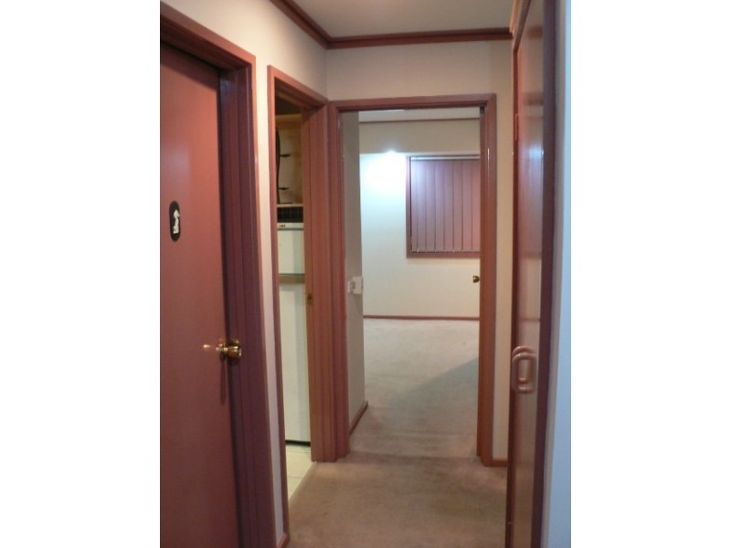 3 Buna Street, North Albury NSW 2640