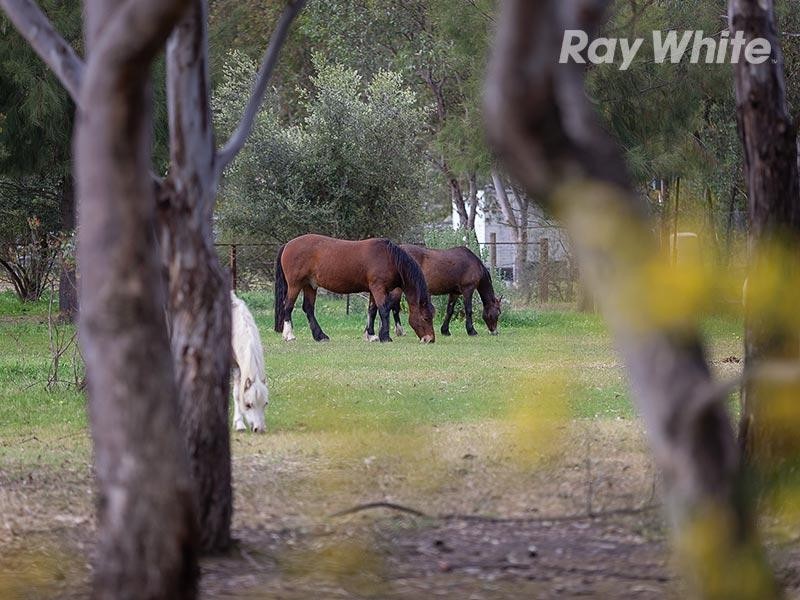 51 Molkentin Road, Jindera NSW 2642