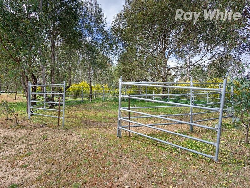 51 Molkentin Road, Jindera NSW 2642