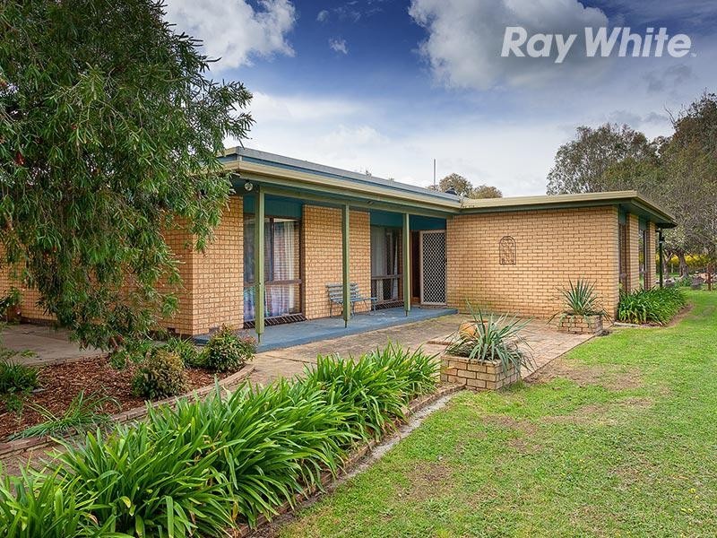 51 Molkentin Road, Jindera NSW 2642