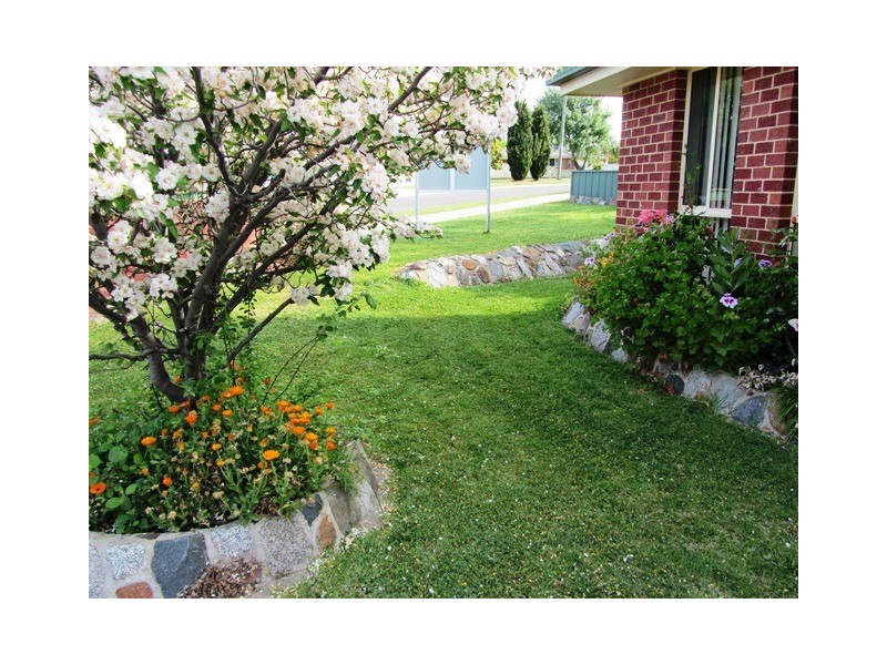 10/495 Rose Street, Lavington NSW 2641