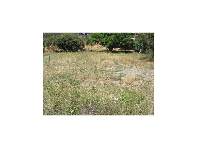 767 Centaur Road, Lavington NSW 2641