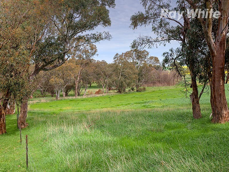 4 Klemke Avenue, Walla Walla NSW 2659