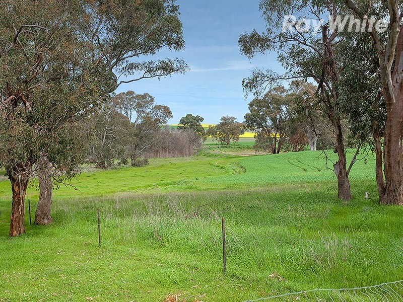 4 Klemke Avenue, Walla Walla NSW 2659