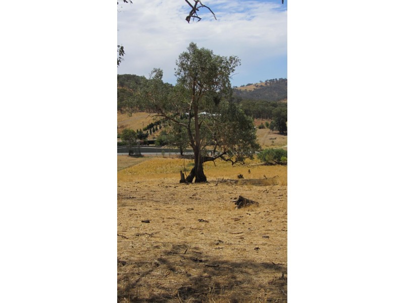 Lot 356 Centaur Road, Lavington NSW 2641