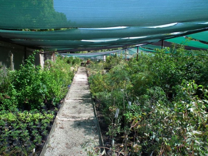 534 Urana Road, Lavington NSW 2641