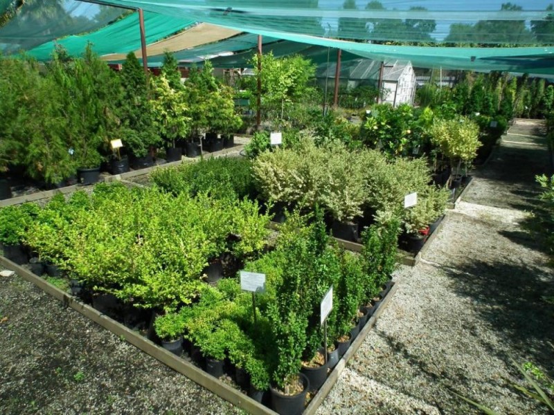 534 Urana Road, Lavington NSW 2641