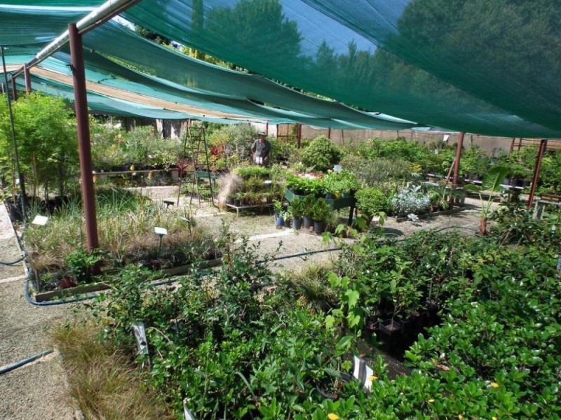 534 Urana Road, Lavington NSW 2641