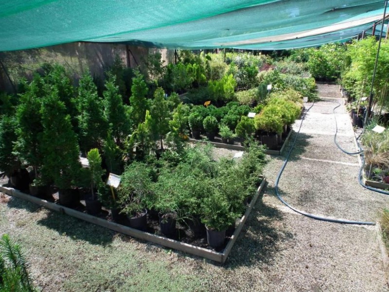 534 Urana Road, Lavington NSW 2641