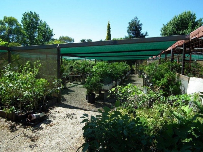 534 Urana Road, Lavington NSW 2641