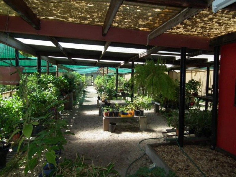 534 Urana Road, Lavington NSW 2641